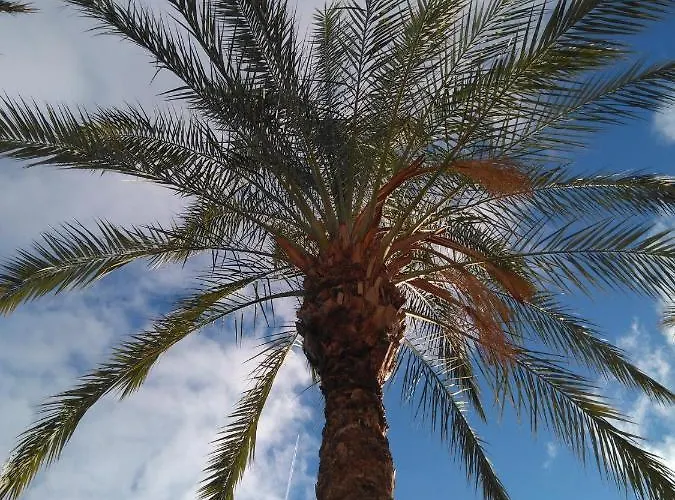 Apartment 2 Bedroom Groundfloor Swimming Pool