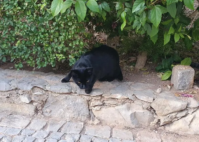 2 Bedroom Groundfloor Swimming Pool شقة تافيرا