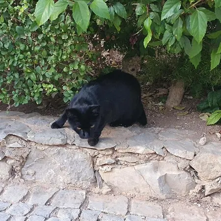 2 Bedroom Groundfloor Swimming Pool Διαμέρισμα Ταβίρα