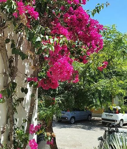 2 Bedroom Groundfloor Swimming Pool Apartamento *